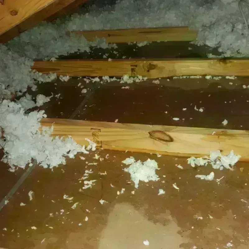 Attic Water Damage in Middletown, NY